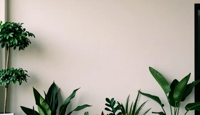配送策略常见误区澄清，定制物流解决方案如何适配业务